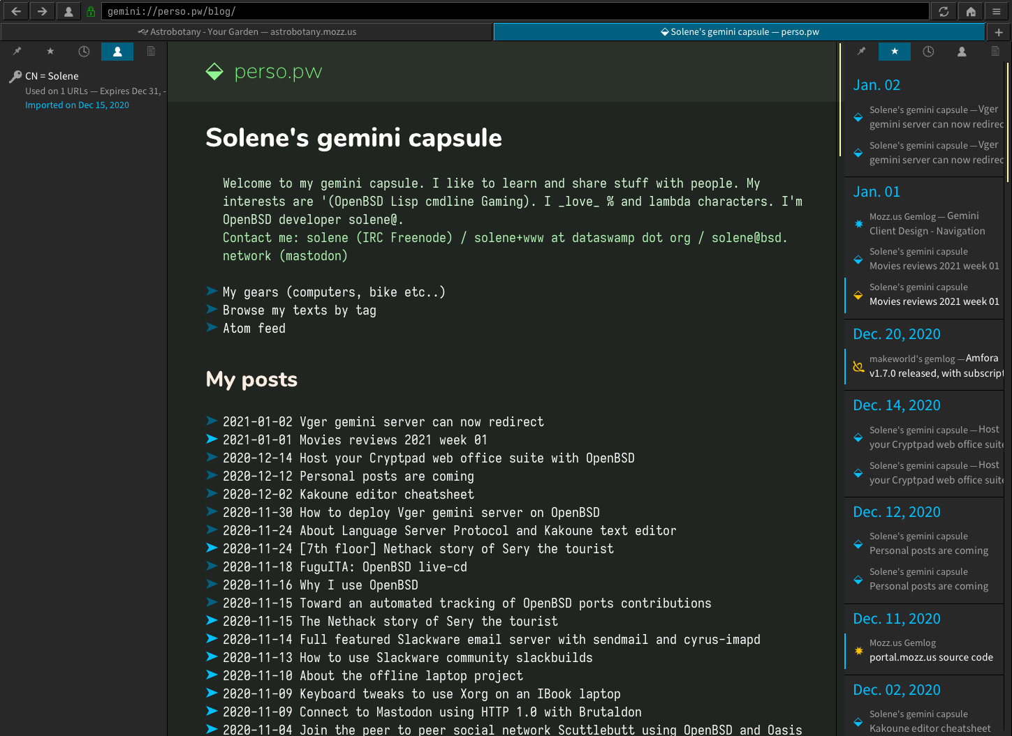 Screenshot of the web browser in action with dark mode, it supports left and right side panels.